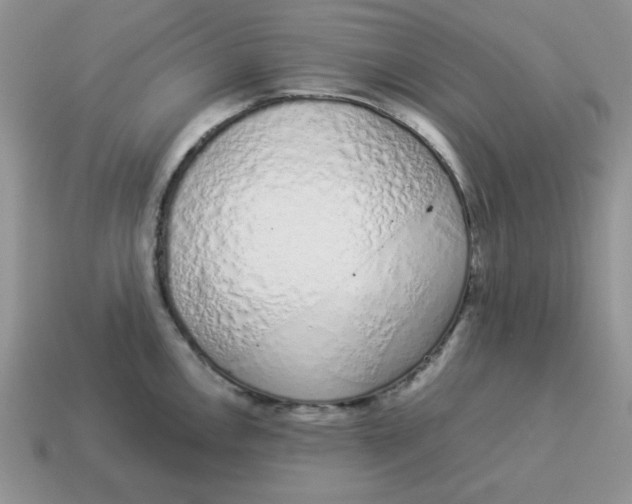 X0000114491146200911091043