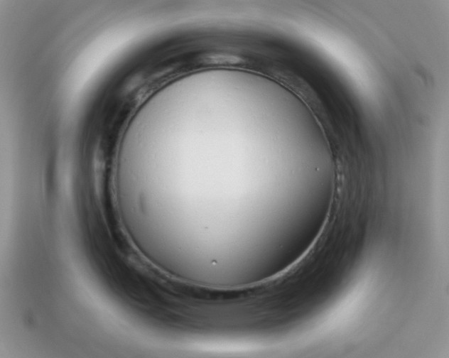 X0000114491151200911091043