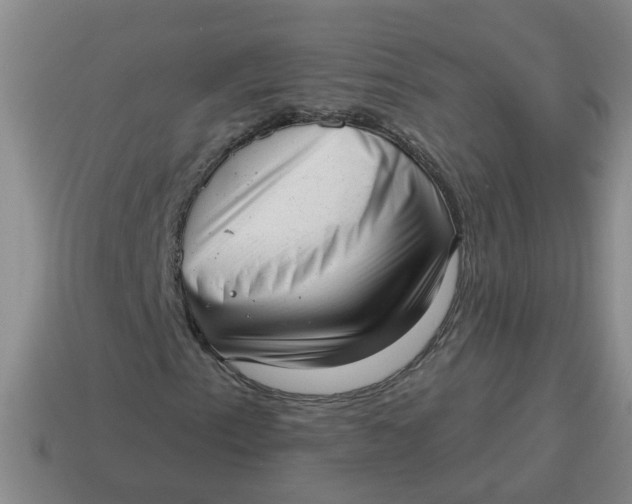 X0000114491153200911091042