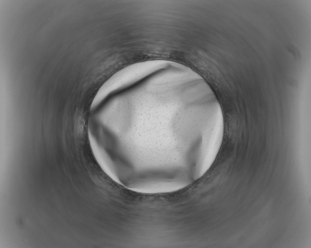 X0000114491154200911091042