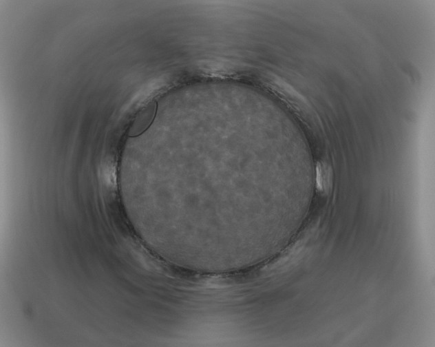 X0000114491155200911091042