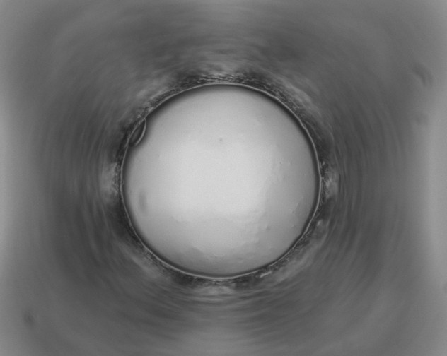 X0000114491156200911091042