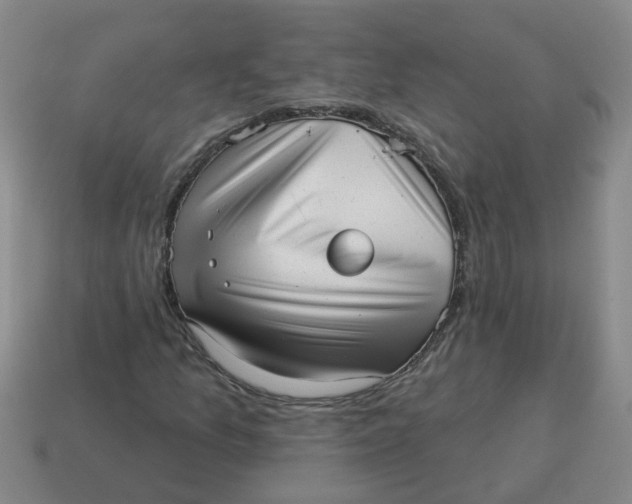 X0000114491157200911091042
