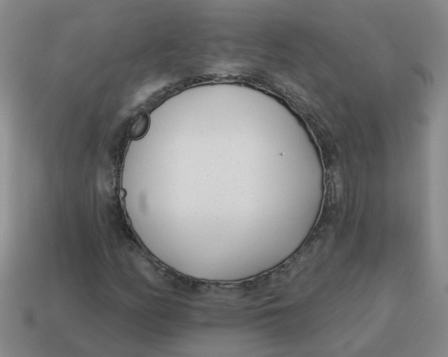 X0000114491158200911091042