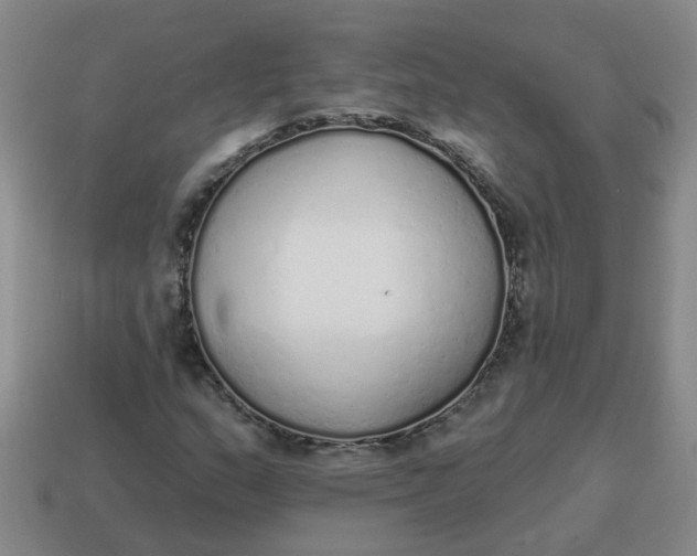 X0000114491159200911091042
