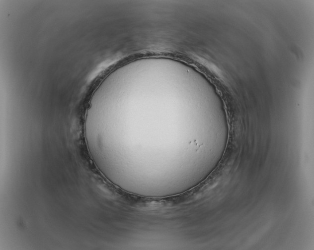 X0000114491160200911091042