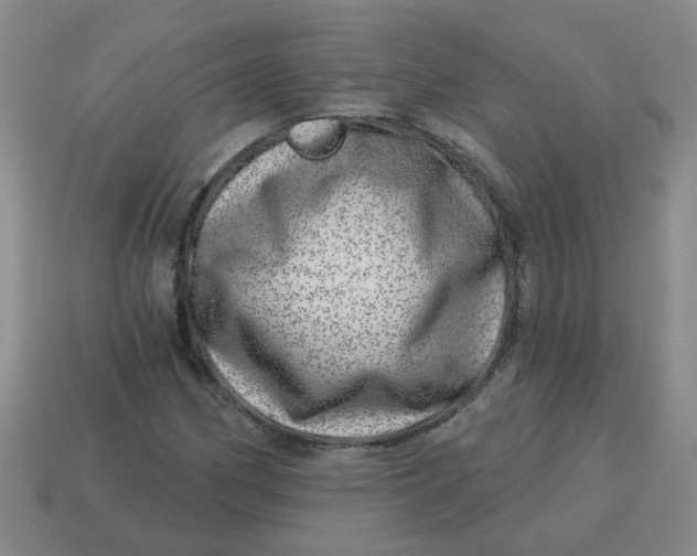 X0000114491162200911091042