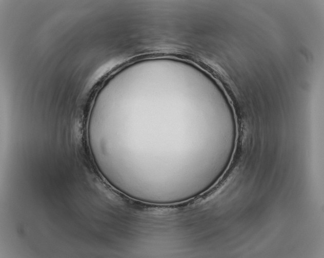 X0000114491163200911091042