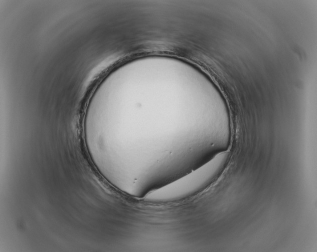 X0000114491164200911091042
