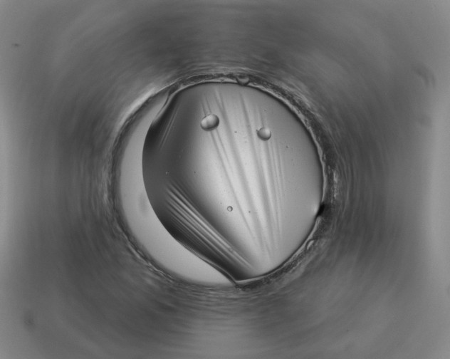 X0000114491165200911091042