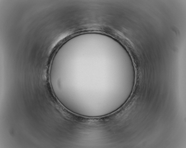 X0000114491166200911091042