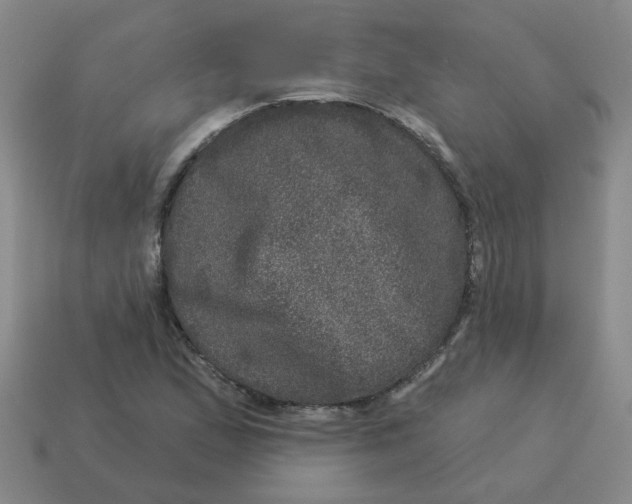X0000114491167200911091042