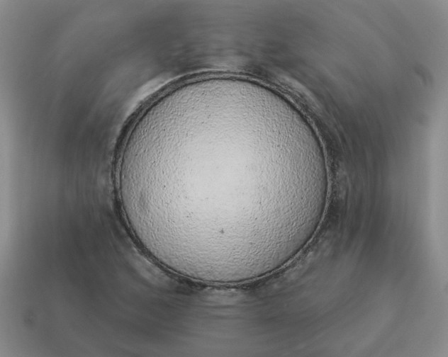 X0000114491168200911091042