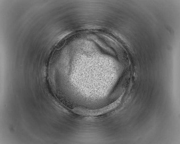 X0000114491169200911091042