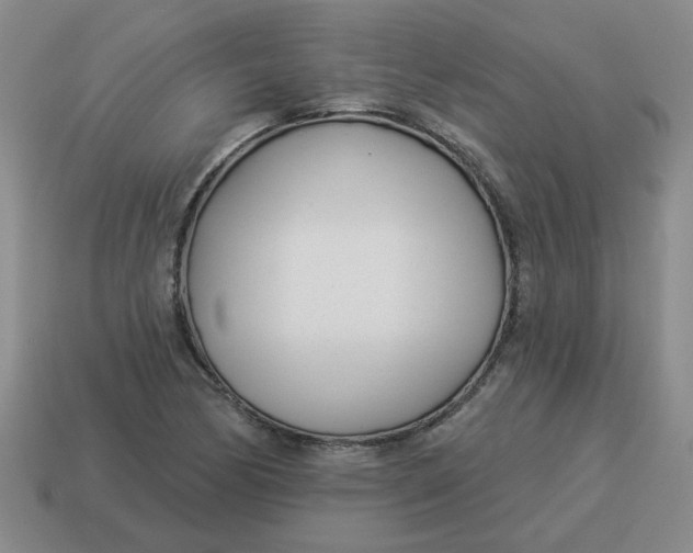 X0000114491170200911091042