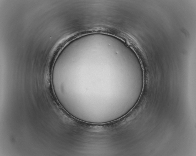 X0000114491172200911091042