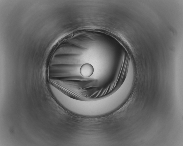 X0000114491173200911091042
