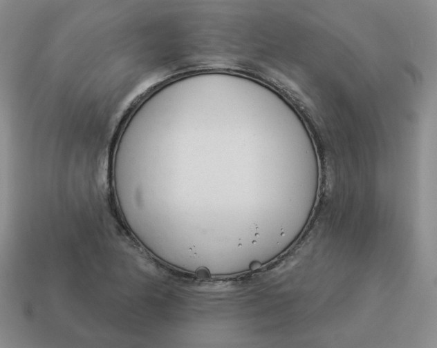 X0000114491174200911091042