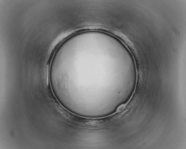 X0000114491175200911091042