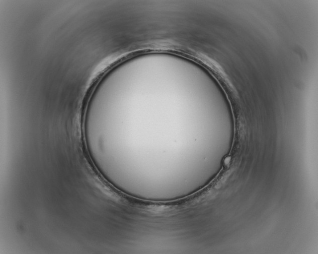 X0000114491176200911091042