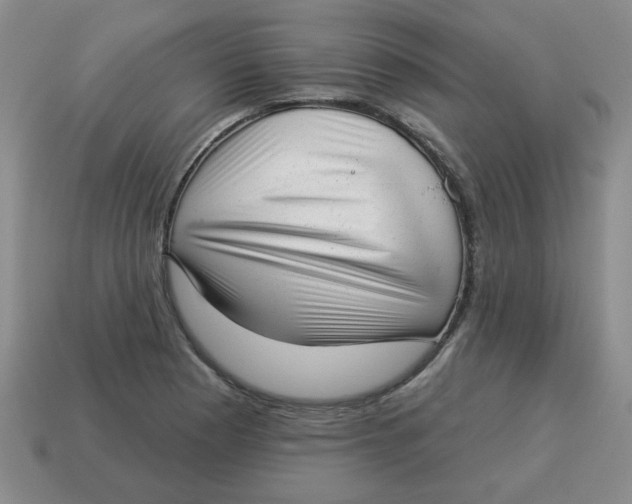 X0000114491177200911091042