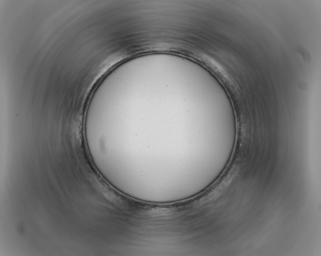 X0000114491178200911091042