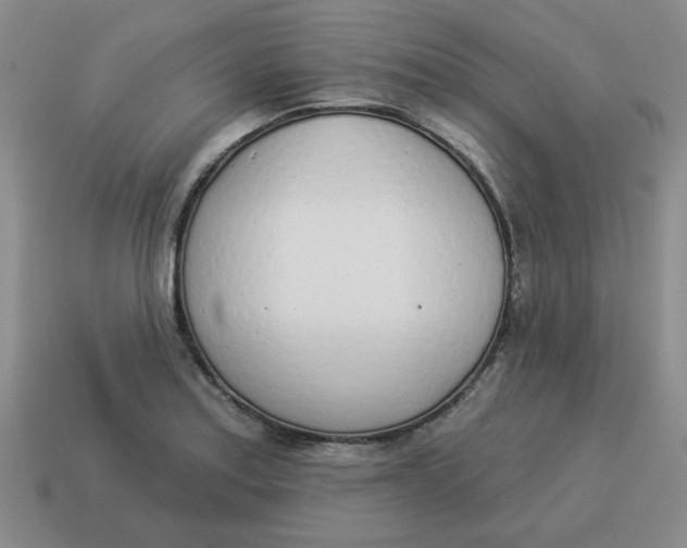 X0000114491179200911091042
