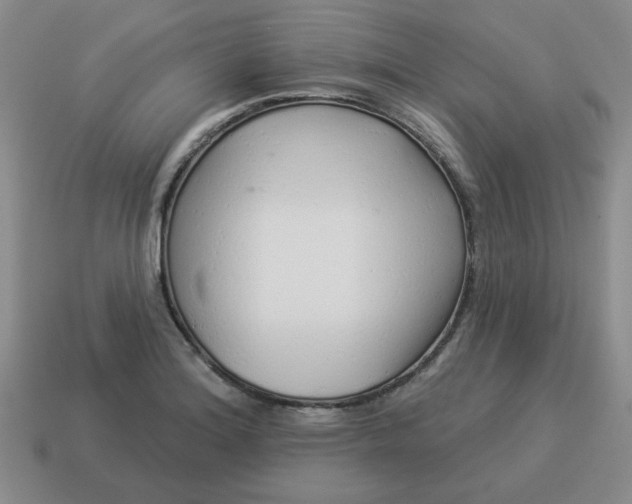 X0000114491180200911091042