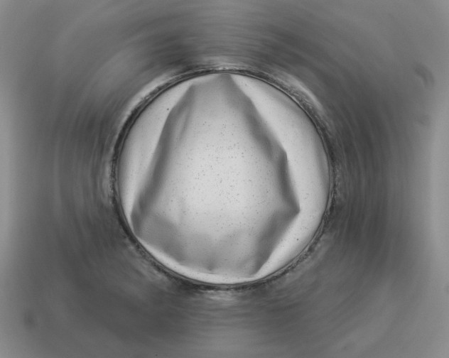 X0000114491182200911091042
