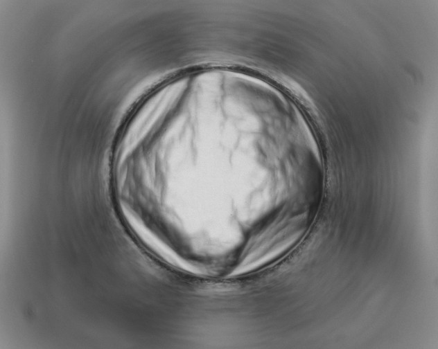 X0000114491183200911091042