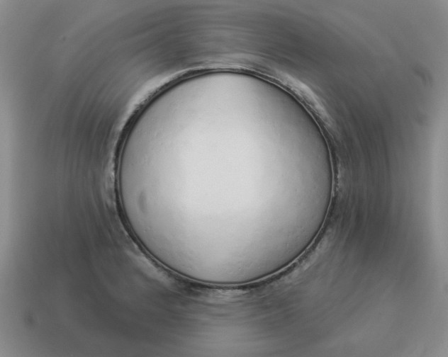 X0000114491184200911091042