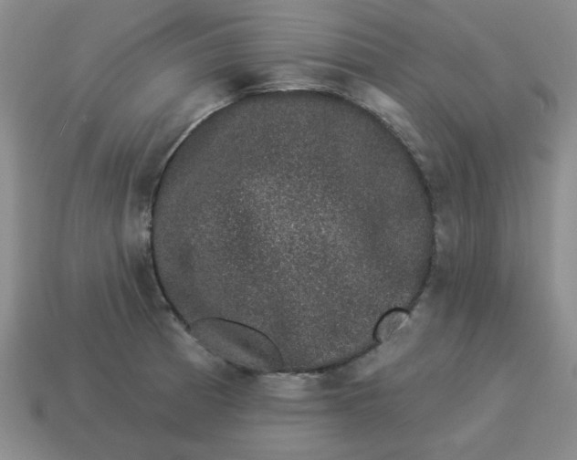 X0000114491185200911091042
