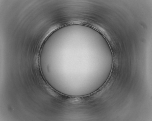 X0000114491186200911091042