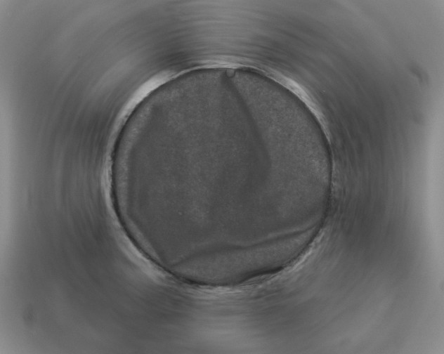 X0000114491187200911091042