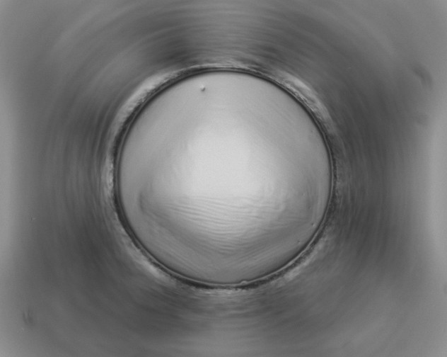 X0000114491188200911091042