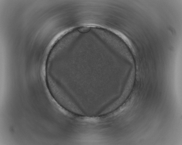 X0000114491191200911091042