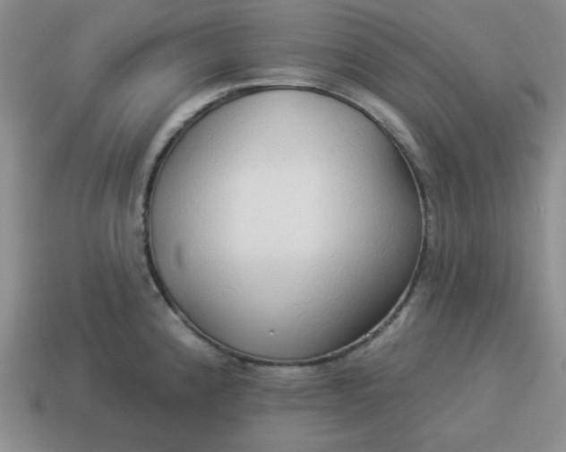 X0000114491192200911091042