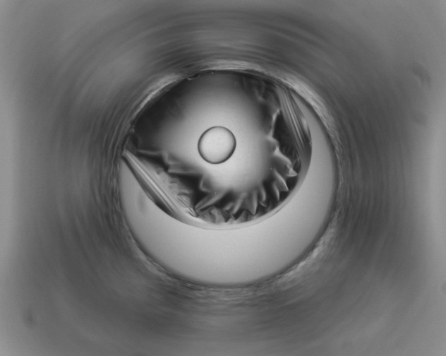 X0000114491193200911091042