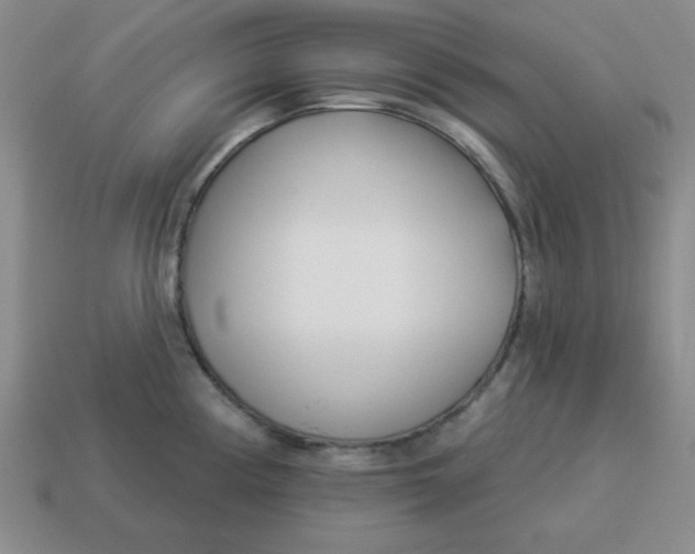 X0000114491194200911091042