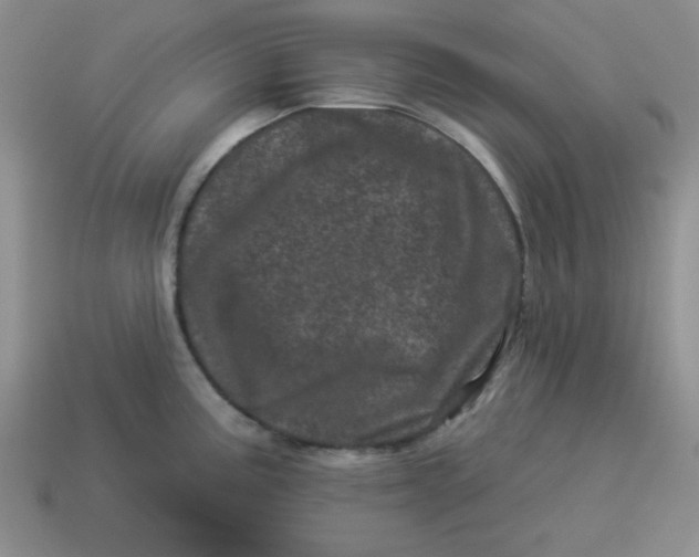 X0000114491195200911091042