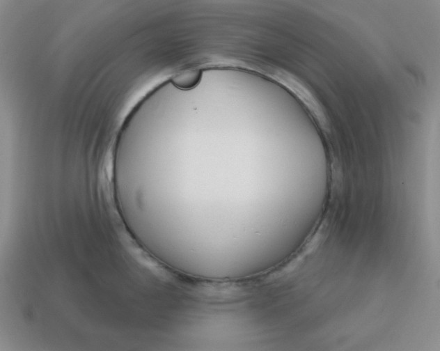 X0000114491198200911091042