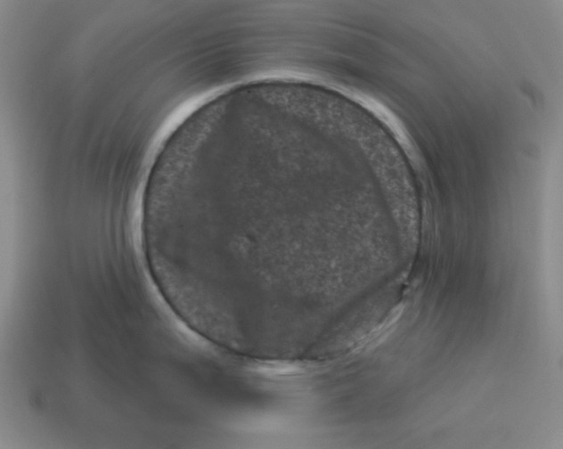 X0000114491199200911091042
