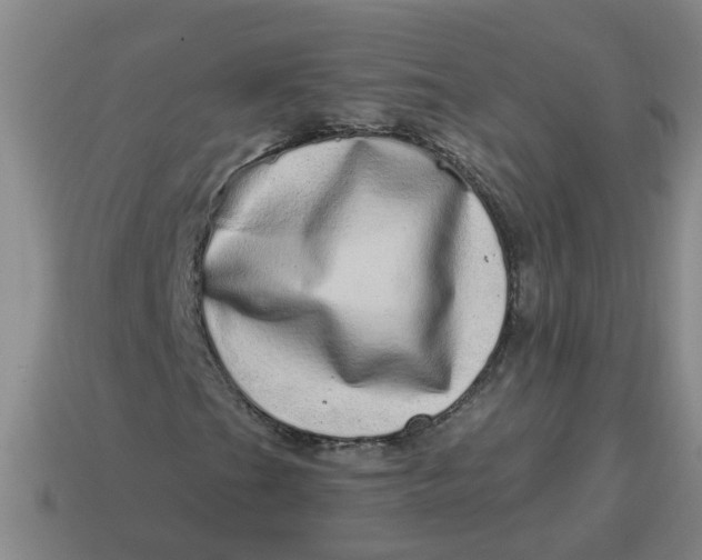 X0000114491201200911091041