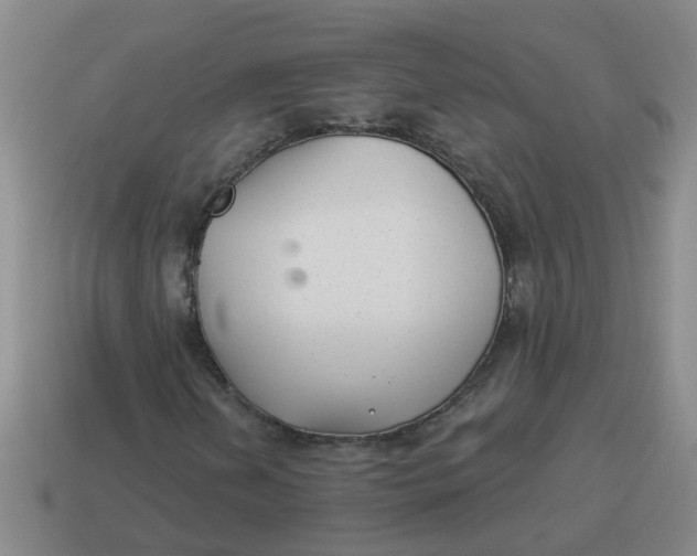 X0000114491202200911091041