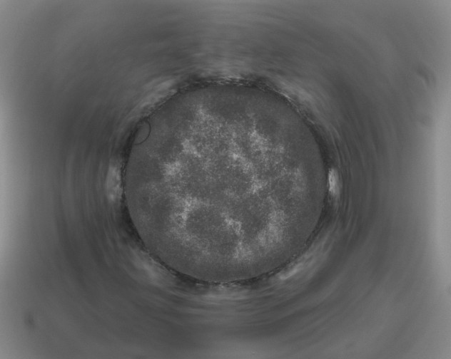 X0000114491203200911091041