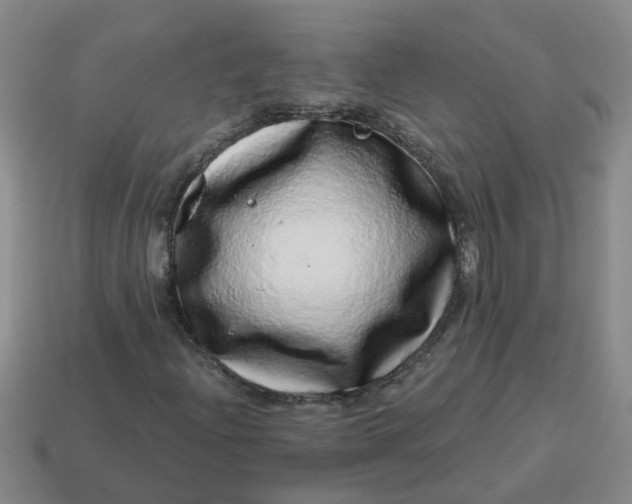 X0000114491204200911091041