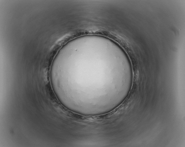 X0000114491205200911091041