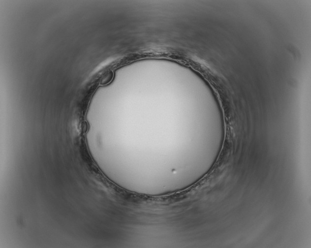 X0000114491206200911091041