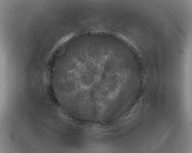 X0000114491207200911091041