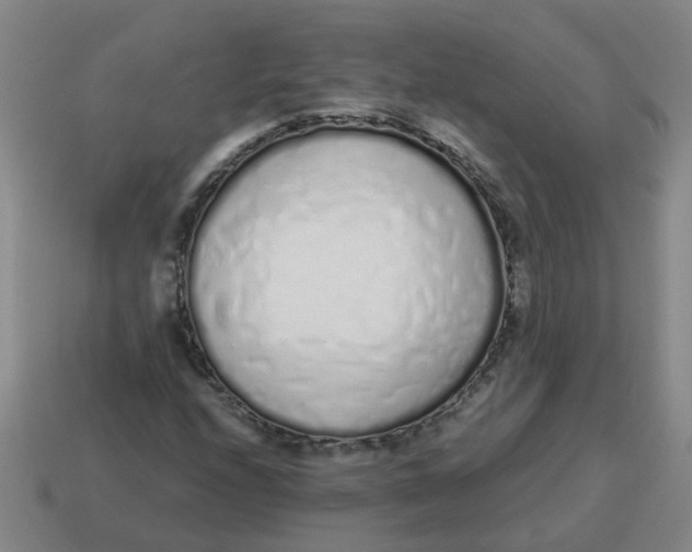X0000114491208200911091041